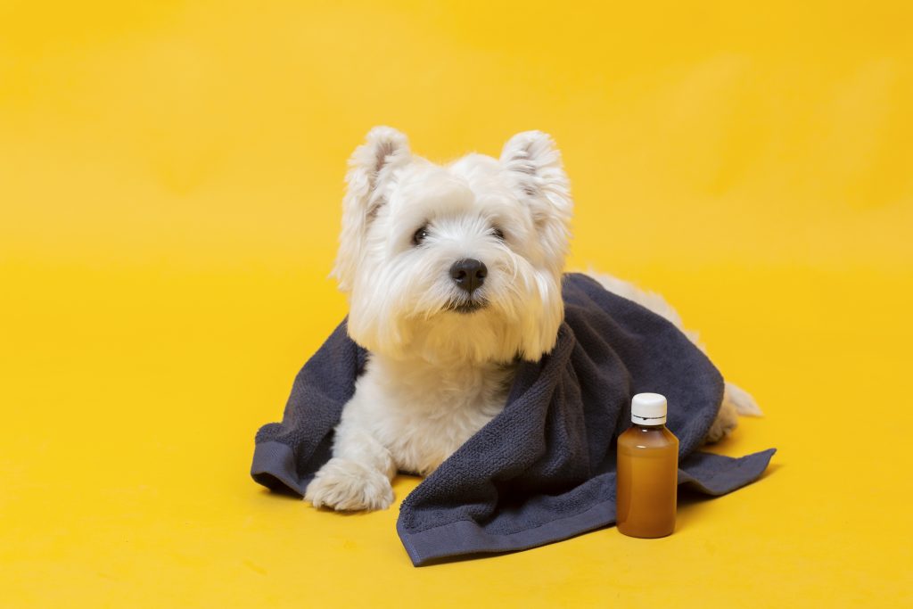 cough meds for dogs