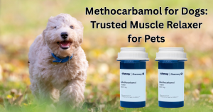 Methocarbamol for Dogs