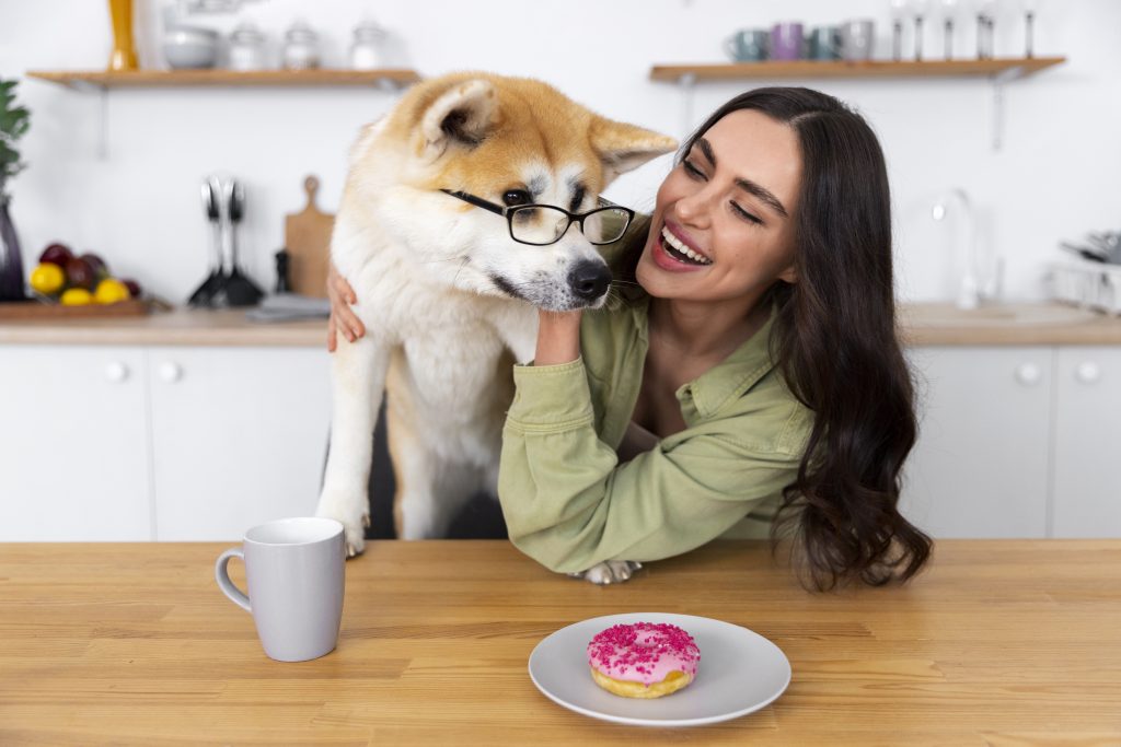 Dogs should never ever eat chocolate, not even a tiny nibble