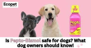 Is Pepto Bismol Safe for Dogs?