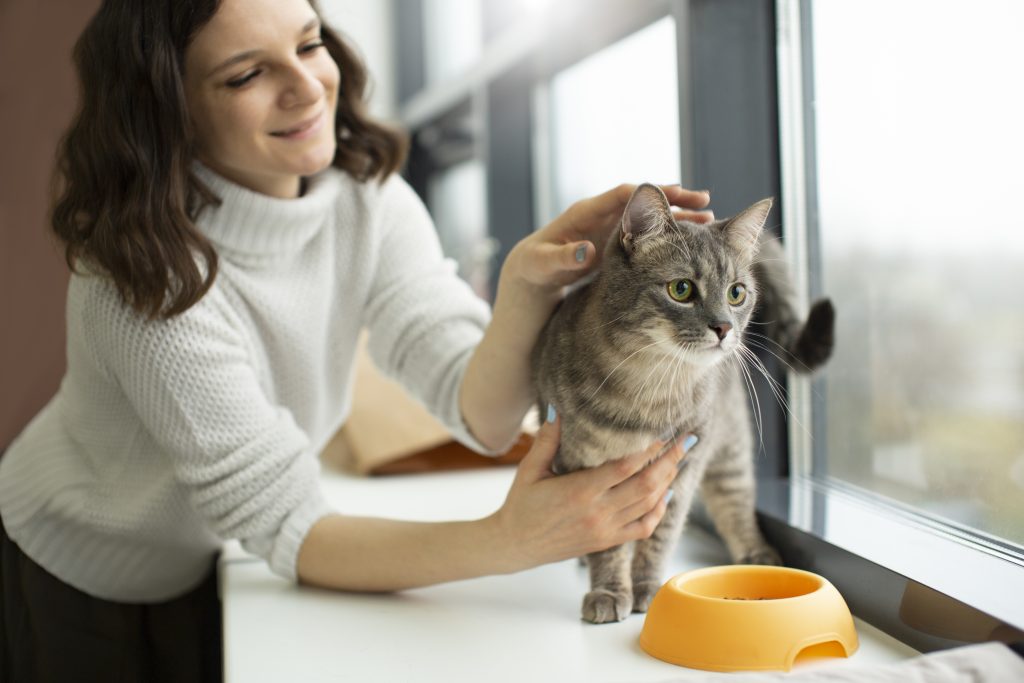 flea treatment for cats 