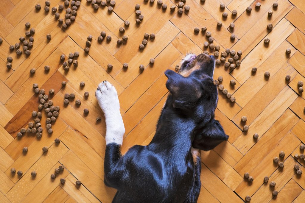can dogs have peanuts