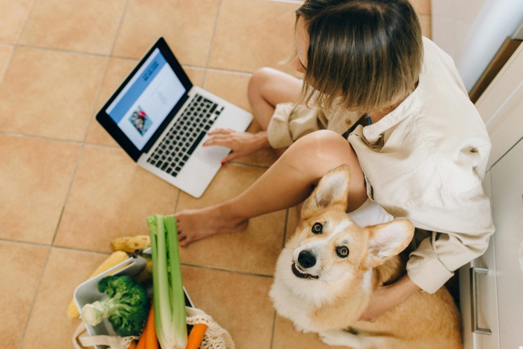 Top 10 Human Foods Dogs Can Eat
