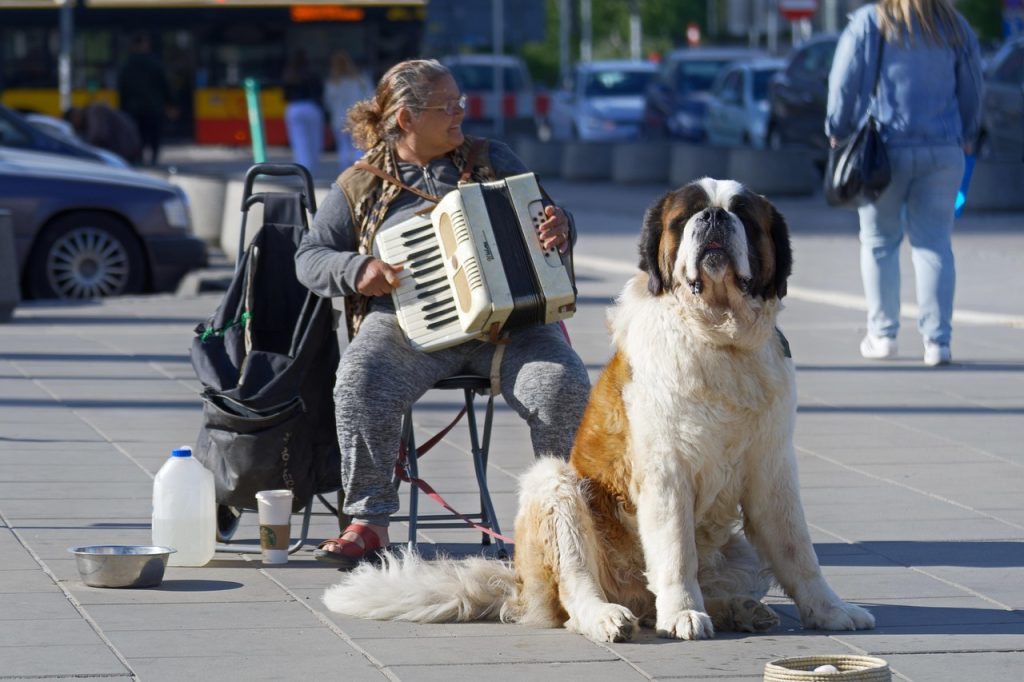 Saint Bernard