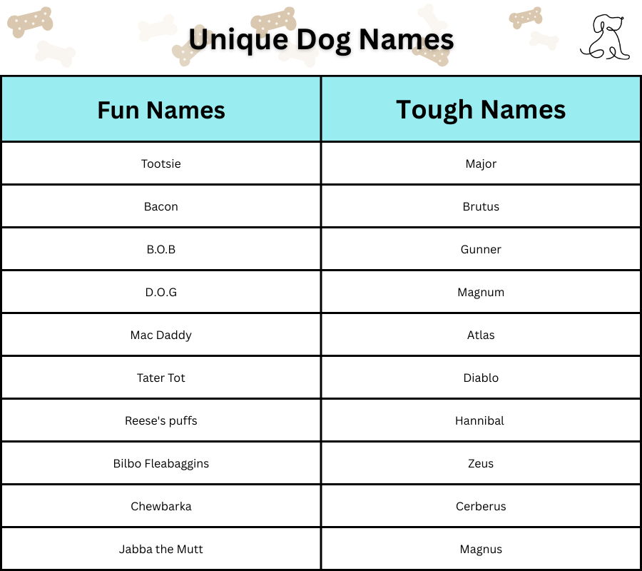 Table of strong names for male dogs 