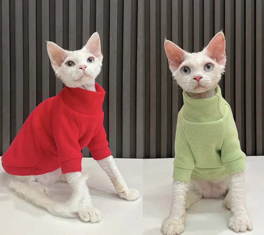 Two cats wearing festive red and green sweaters, sitting together and looking at the camera.