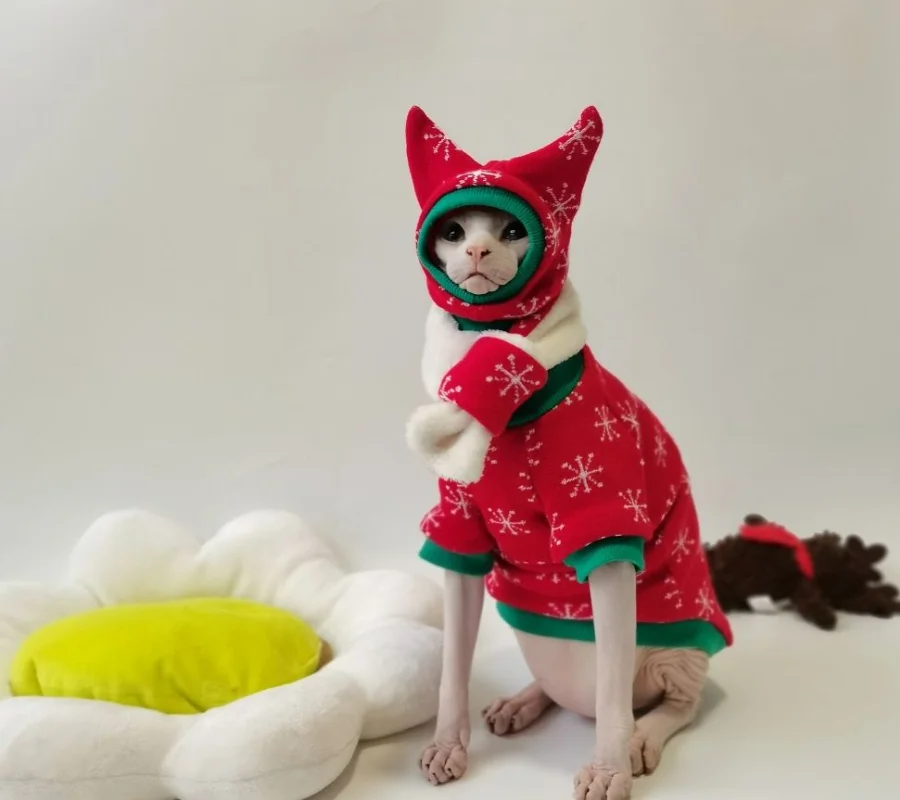 A hairless cat dressed in a festive Christmas sweater and hat, sitting cheerfully against a holiday-themed background.