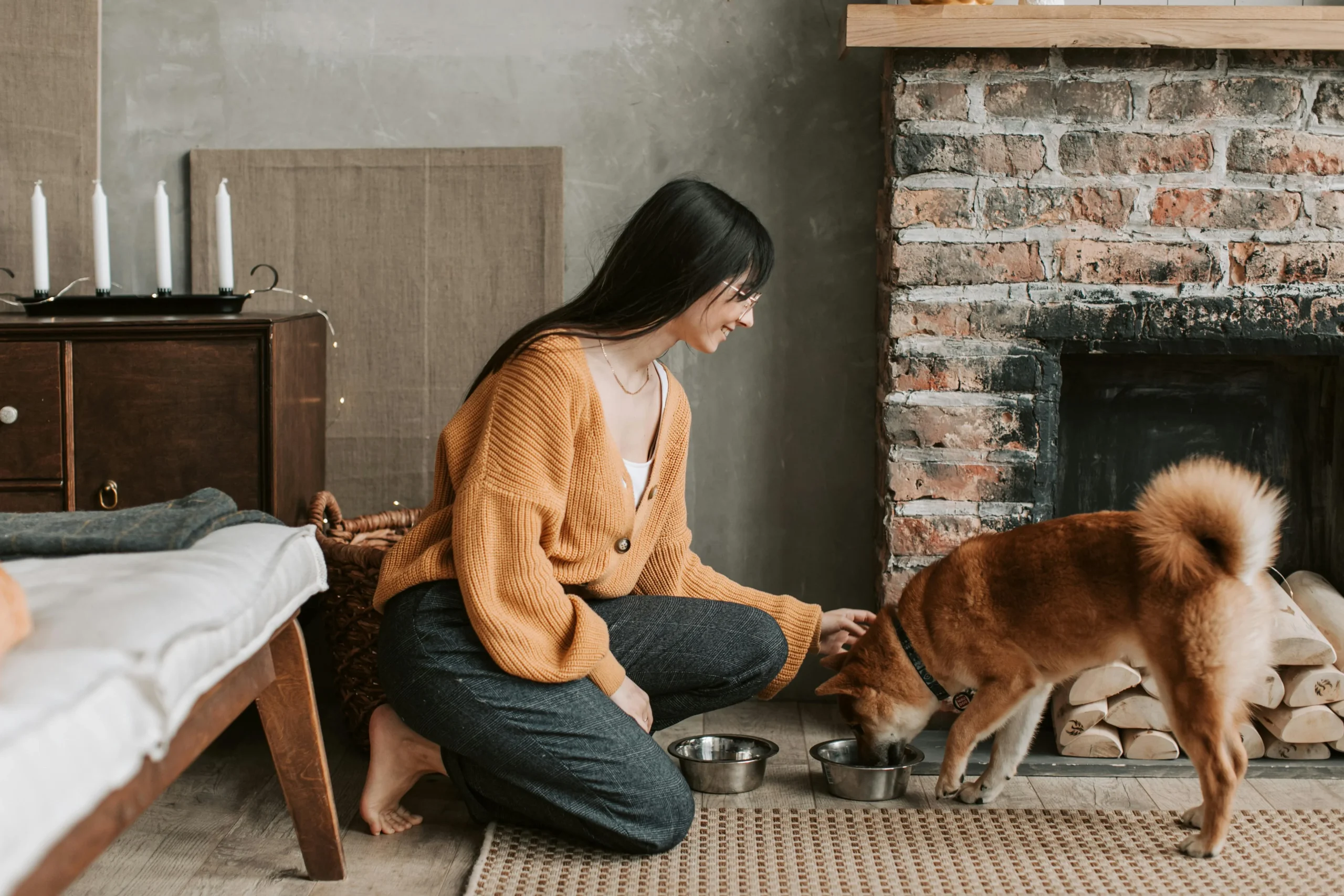 A woman gently pets a dog eating parvi celery while sitting in front of a cozy fireplace, creating a warm and inviting atmosphere.