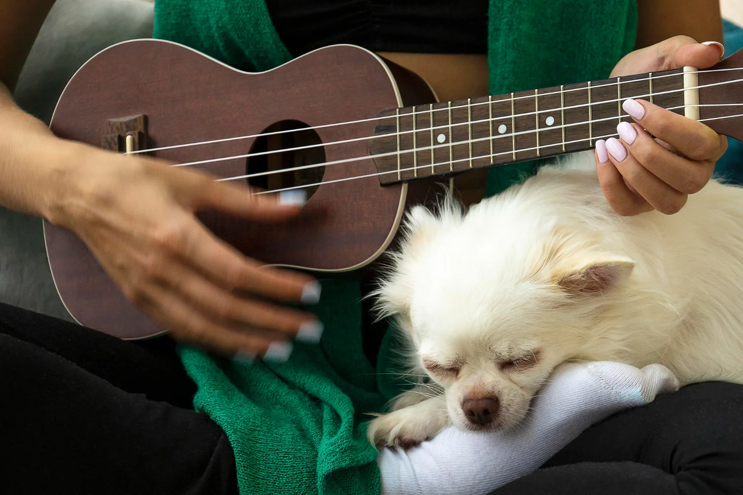 A woman strums a ukulele while a dog sits beside her, both enjoying a sunny outdoor setting