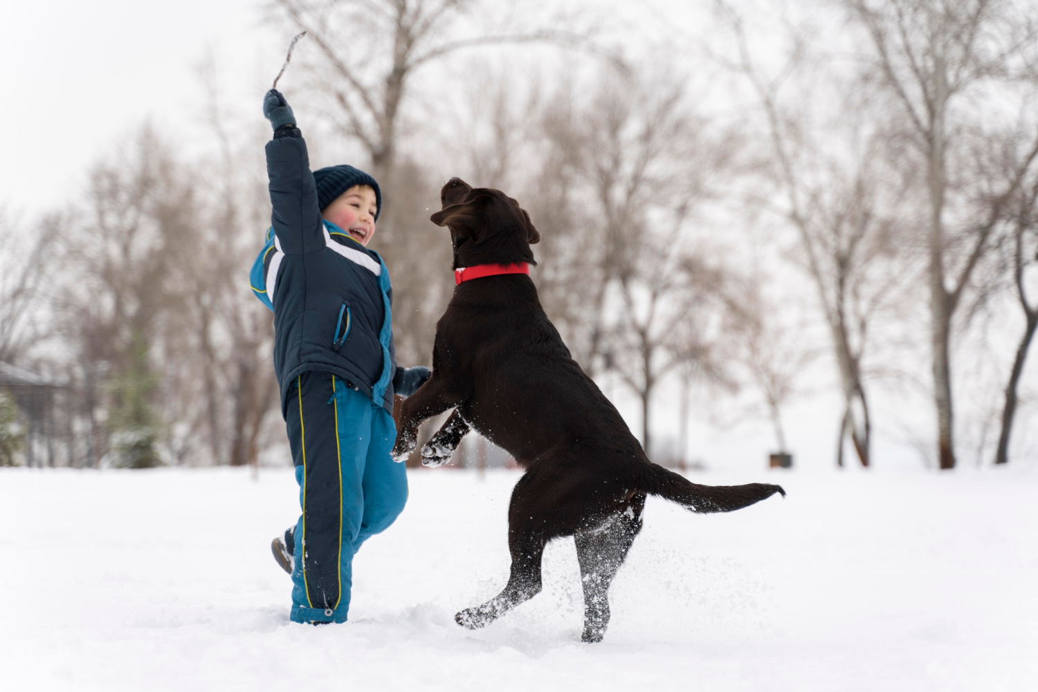 child playing with a dog in snow on walk