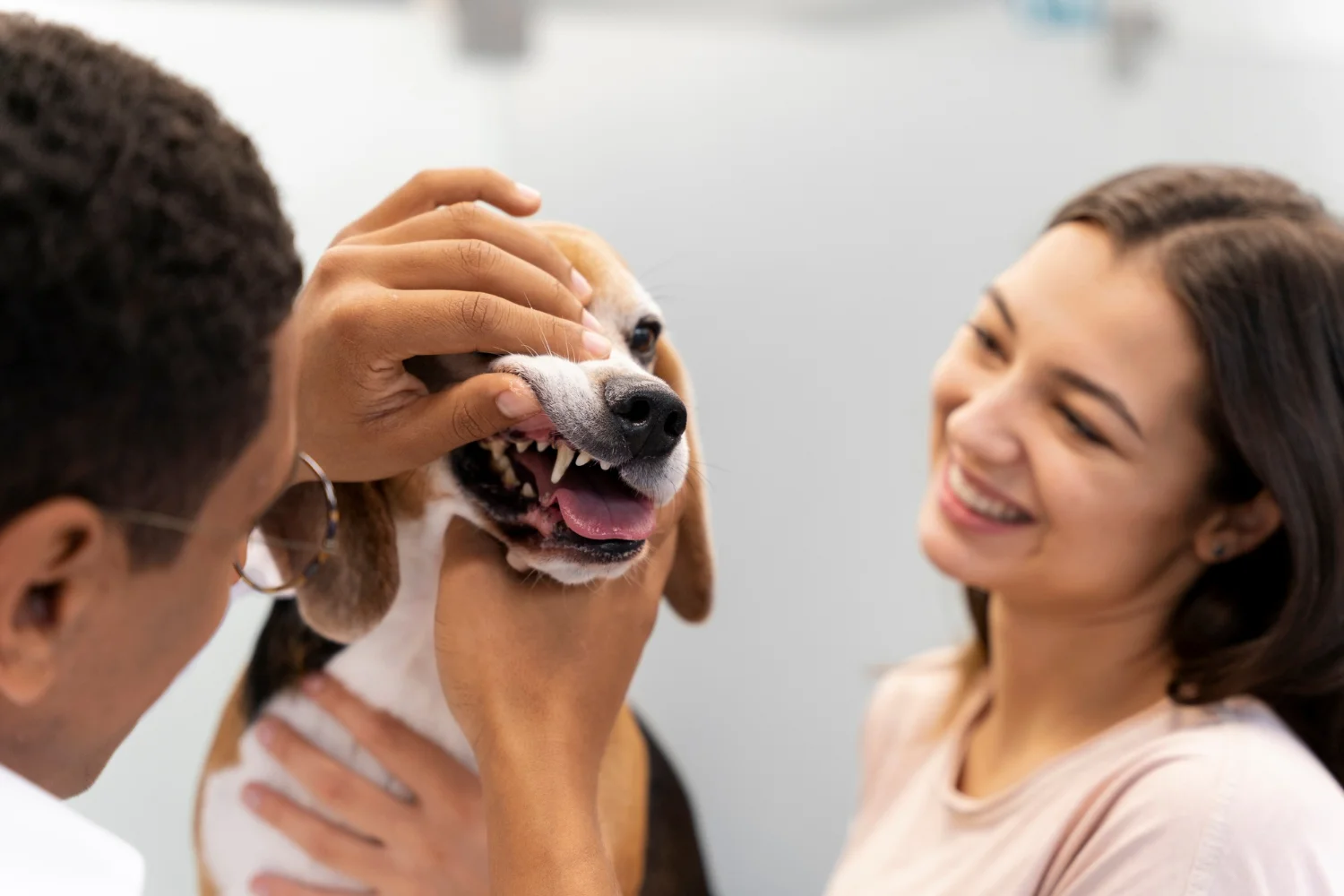 A woman pets a dog while a vet checks the dog for bad breath.