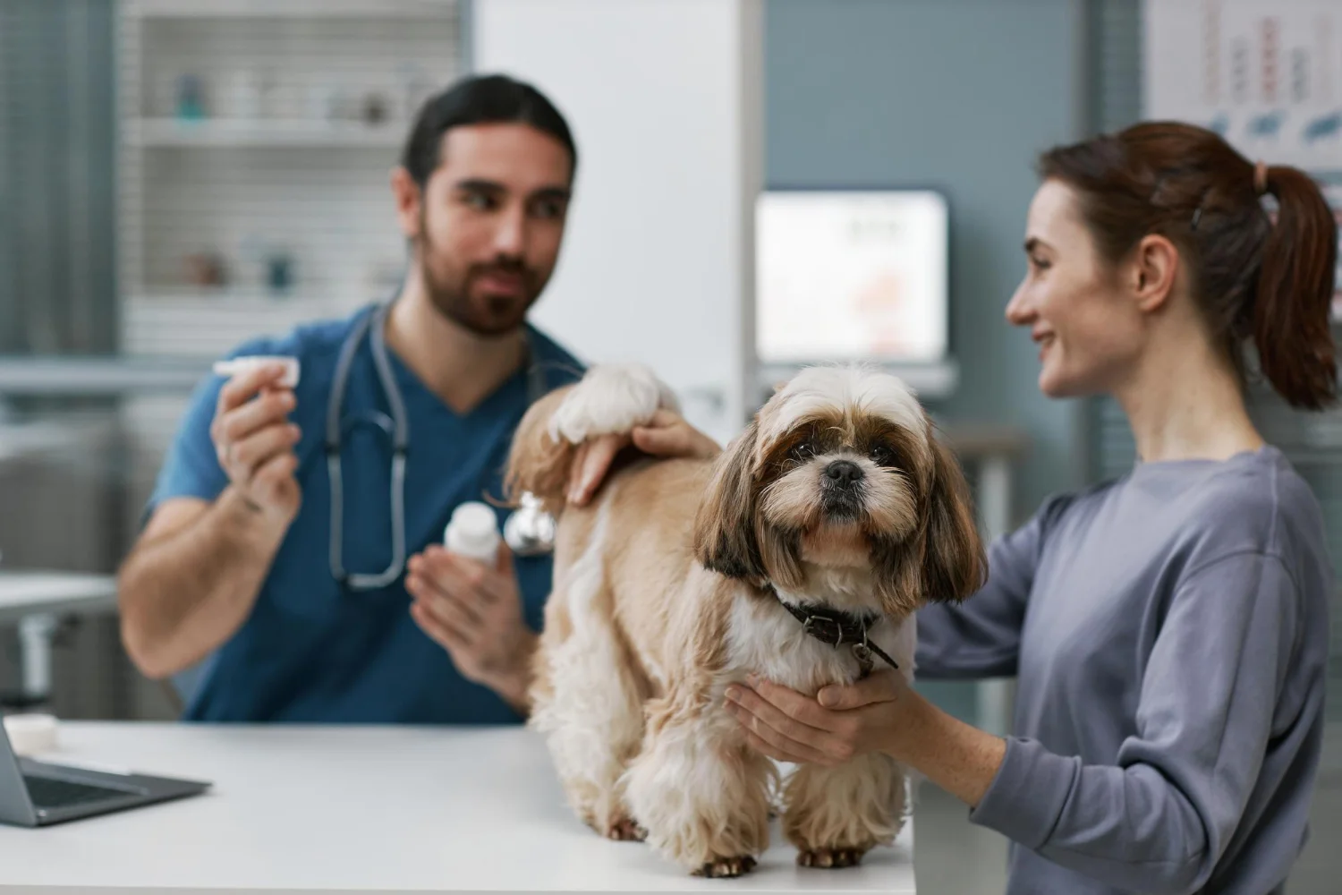 Vet holding a prescription bottle for a sick dog